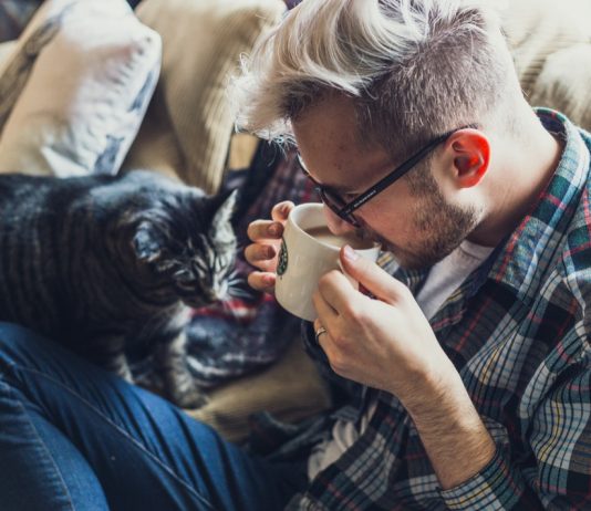 Стартап «Шерстакович» привлек инвестиции от Realogic